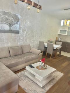 Apartman AMIGO & Spa - 7