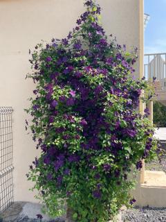 Gîte de brizolles - Cluny - 4