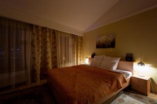 Daugava rrlux Penthouse with fireplace and free parking - 2