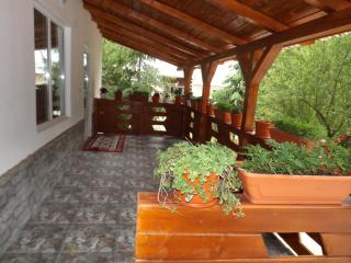 Cabana La Marian - Munună - 3