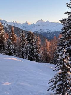 Cabane Illhorn - Chandolin - 7