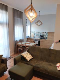 Apartament 103 - Lądek-Zdrój - 1
