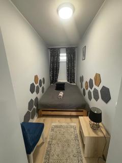 Apartamenty Cieplicka 20 - Jelenia Góra - 6