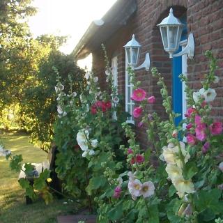 Haus Wolfram App Gondeline Morsumer Kliff - Archsum - 6
