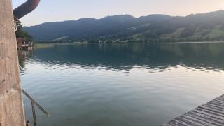 Ferienwohnungen Schlader - Zell am Moos - 7