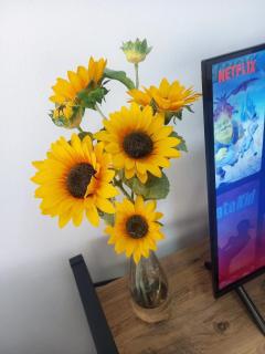 Sunflower Apartment - Durrës - 6