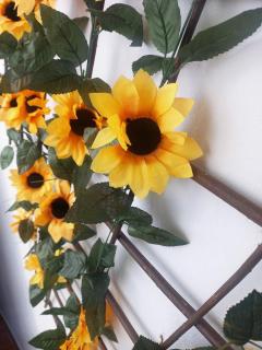 Sunflower Apartment - Durrës - 5