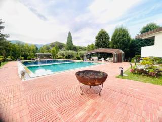Tenuta Vinci - Capannori - 7