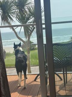 2 bed Beachfront Apartment Inchydoney Cork - Balnacart - 8