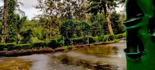 Kathadia Homestay - Cherambane - 5