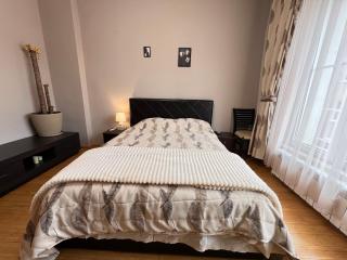 Hamburg 2BDR Family Apt next to NDK and Vitosha BLVD - Sofia - 9