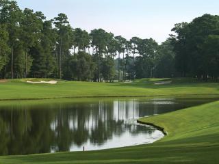 Wyndham Ocean Boulevard 3BR Apartment with Resort Access - Myrtle Beach - 9