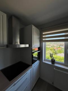 Apartament cu curte Gruia - 2