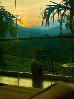 HAYASHI resort wayanad - Meppādi - 5