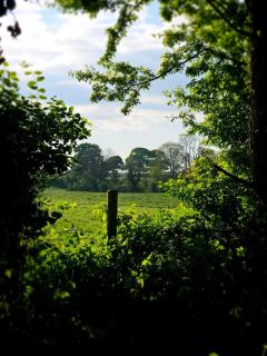 The Byre At Springbank - Kilrea - 8