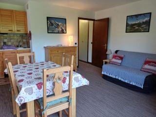 Appartement Vue Montagne à 500m des pistes - 8