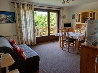 Appartement Vue Montagne à 500m des pistes - Praz-sur-Arly - 0