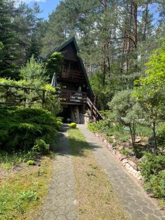 House in the forest in Podlasie - Studzianki - 9