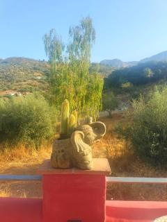 Finca Corazonada - Ríogordo - 8
