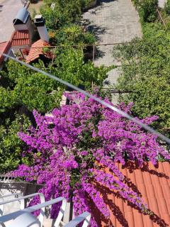 Dalmati house - Brodarica - 4