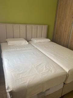 Apartmani Radmanovic - 5