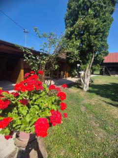 Casa Livada Bunicii - Tîrgu Ocna - 7