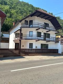 Casa Bașu - Băile Herculane - 9