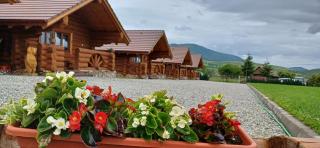 Stâna Boierilor - 7