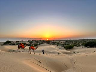 Heaven In Desert - 1