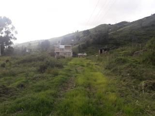 Zirku Garden Kodaikanal - 0