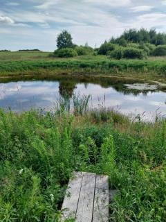 Relax by lake at Warmian-Masurian Holiday home - - 7