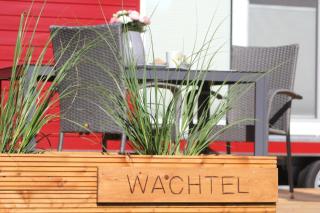 Ostsee Tiny Haus Wachtel - Barth - 5