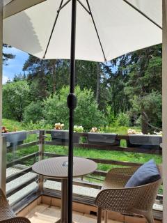 Rila Mountain Design Studio, Borovets, Shiroka poliana 216 - Borovets - 6