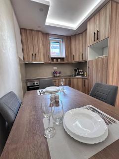 Primavera apartments Banja Koviljaca - 2