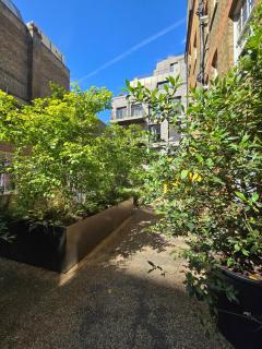 Covent Garden Stunning Flat - Londra - 3