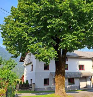 atHOME Appartements - Rattendorf - 0