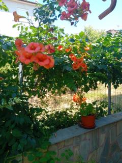 Thoma-is Studios - 7