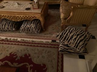 Netflix classy central grown floor flat - Banī Ghālib - 0