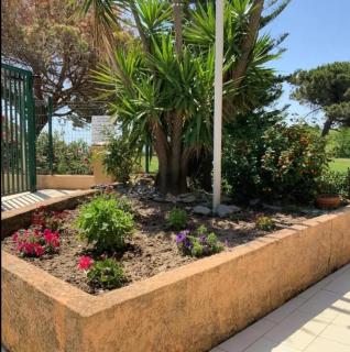 Santa Lucia Moriani appartament - 9