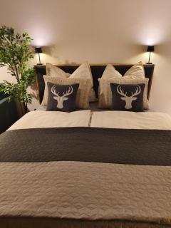 Forest Apartment Gosau - Gosau - 6