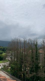 El clavel Llanes - 4