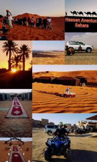 desertcamp - 6