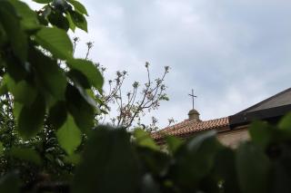 Il Conventino 44 - 1