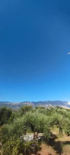 Alexander apartment 3 - 1