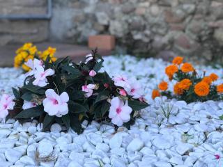 La Grotta - Ponton - 2