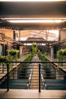 Thami's Lodge Unit 324 with Free WiFi - Johannesburg - 7