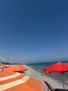 Il gelso bianco - Bovalino Marina - 1