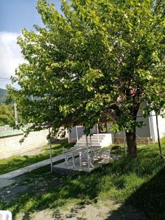 All Star Gabala - Gabala - 9
