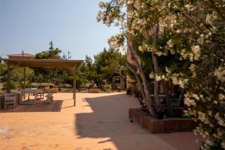 Evgenia's Seafront Studio Aegina - Città di Egina - 2