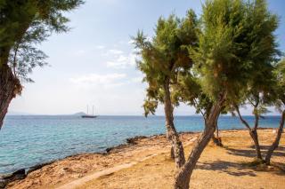 Evgenia's Seafront Studio Aegina - Città di Egina - 4